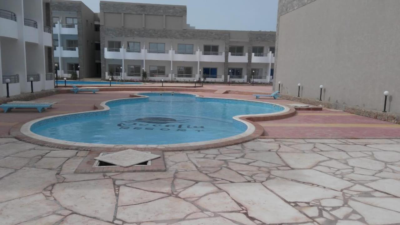 Cecelia Furnished For Rent Appartement Hurghada